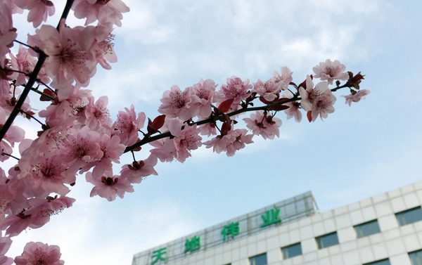 AG旗舰厅(中国游)官方网站