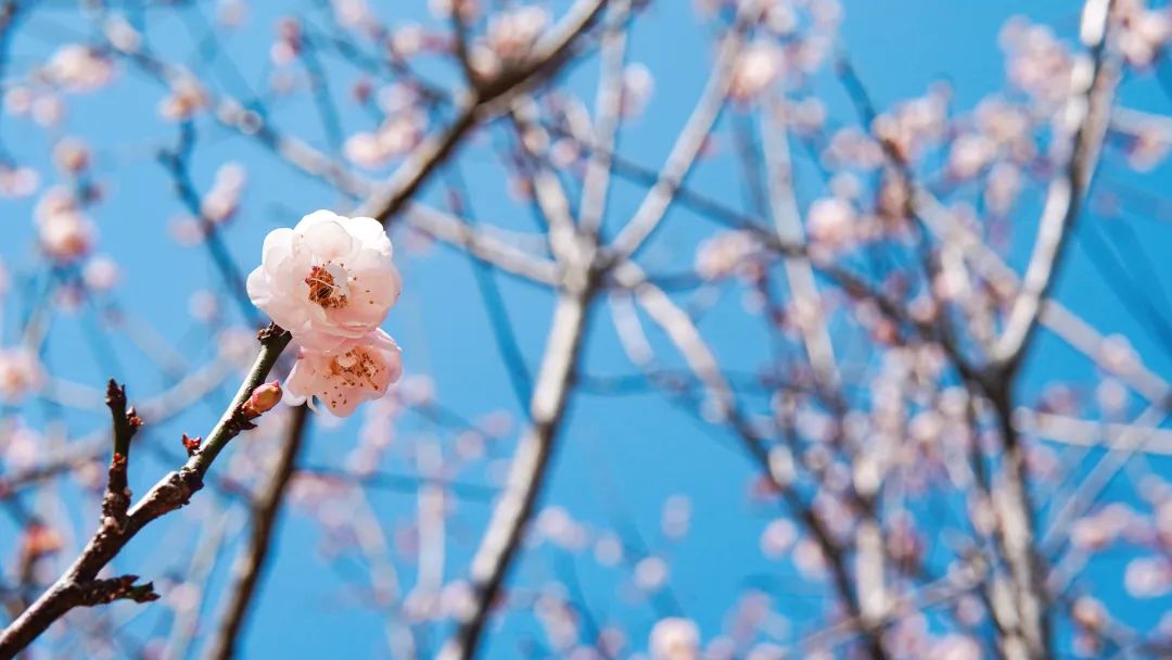 AG旗舰厅(中国游)官方网站