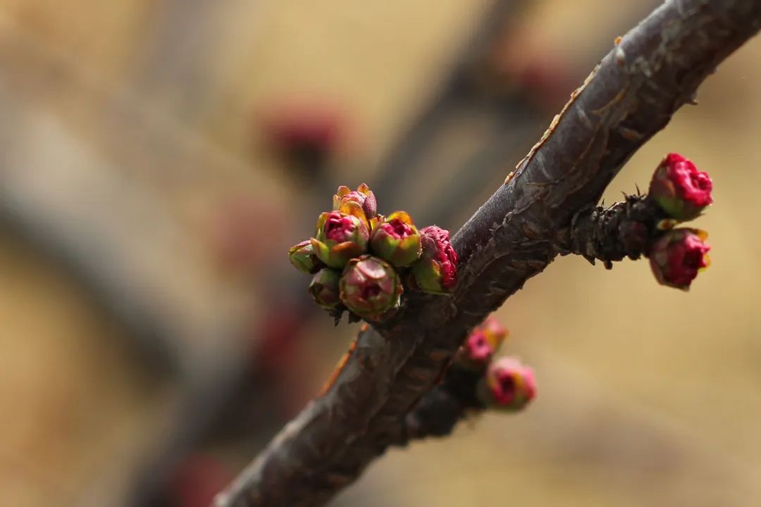 AG旗舰厅(中国游)官方网站